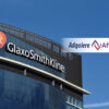 glaxo-affinivax5